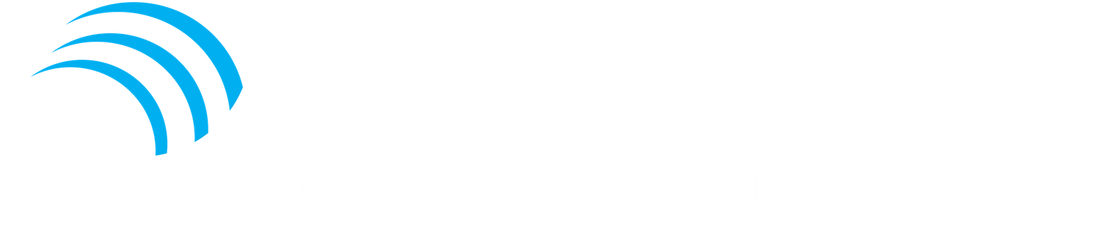 ics logo